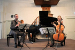 Haydn Trio op 9 februari 2014